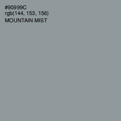 #90999C - Mountain Mist Color Image